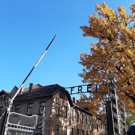 muzeum_obozu_auschwitz-birkenau_20211111_1234802861